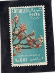 Sellos de Africa - Somalia -  Plantas