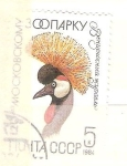 Stamps Russia -  guinea RESERVADO