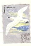 Stamps Russia -  gaviota RESERVADO