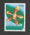 Stamps Benin -  Phalaenopsis fuscata