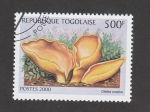 Stamps Togo -  Otidea onotica