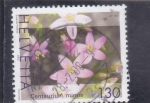 Stamps : Europe : Switzerland :  flores-