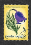 Stamps Romania -  2152 - Flores