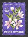 Sellos de Europa - Rumania -  2155 - Flores