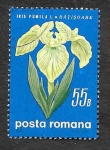 Sellos de Europa - Rumania -  2156 - Flores