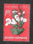 Stamps Romania -  2158 - Flores