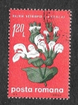 Sellos de Europa - Rumania -  2158 - Flores