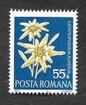 Sellos de Europa - Rumania -  2333 - Flores Protegidas