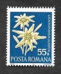 Stamps Romania -  2333 - Flores Protegidas