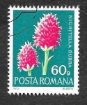Sellos de Europa - Rumania -  2334 - Flores Protegidas