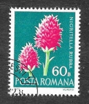 Stamps Romania -  2334 - Flores Protegidas