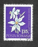 Stamps Romania -  2335 - Flores Protegidas