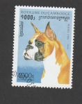 Stamps Cambodia -  Perros de raza: Boxer