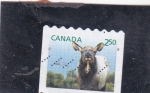 Stamps Canada -  rumiante canadiense 