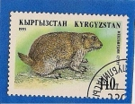 Stamps Asia - Kyrgyzstan -  Animales