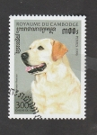 Stamps Cambodia -  Razas de perros: Labrador de rescate