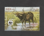 Stamps Cambodia -  Bóvido