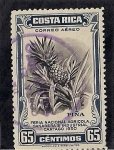 Stamps Costa Rica -  Piña