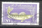Stamps Romania -  bani RESERVADO
