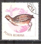 Stamps Romania -  codorniz RESERVADO