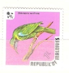 Stamps : Asia : Maldives :  chloropsis aurficons RESERVADO