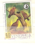 Stamps : America : Venezuela :  perdiz RESERVADO