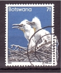 Stamps : Africa : Botswana :  serie- Aves