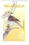 Stamps Nicaragua -  aves