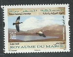 Stamps Morocco -  Ave