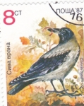 Stamps Bulgaria -  ave- cuervo