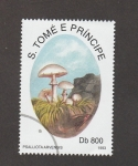 Sellos de Africa - Santo Tom� y Principe -  Psalliota arvensis