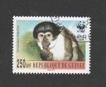 Stamps Guinea -  Cercobus equatus
