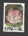 Stamps North Korea -  Ramaria botrytis