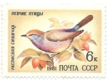 Stamps : Europe : Russia :  pájaro