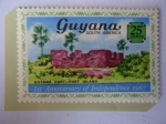 Stamps Guyana -  Fuerte de Guyana- 1°Aniversario de la Independencia (1966-1967) 