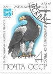 Stamps Russia -  águila