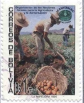 Stamps Bolivia -  50 Aniversario de la FAO