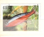 Sellos de America - Nicaragua -  cheirodon axeirodi RESERVADO