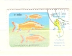 Stamps Laos -  catiocarpio stamensis