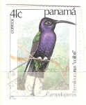 Stamps : America : Panama :  colibri RESERVADO