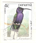 Sellos del Mundo : America : Panam� : colibri RESERVADO