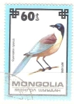 Stamps Montenegro -  cyanopica cyanus