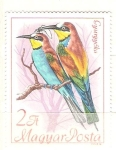 Stamps Hungary -  abejaruco RESERVADO