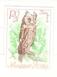 Stamps Hungary -  buho