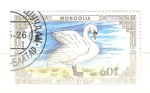 Stamps Mongolia -  cygnus olor