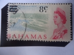 Stamps : America : Bahamas :  Queen Elizabeth II - Sello Sobrecargado - Serie:Desarrollo, Avance, escenas Locales.