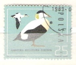 Stamps Poland -  somateria mollsssima