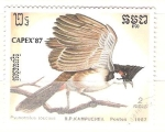 Stamps Cambodia -  pycnonotus jocosus RESERVADO