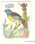 Stamps : Asia : Cambodia :  thraups bonaerensis RESERVADO