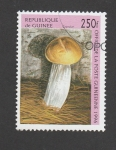 Stamps Guinea -  seta granular